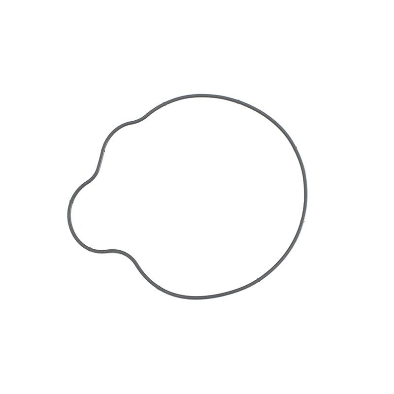 Uszczelka pokrywy alternatora do Polaris Sportsman 700/800, Ranger 800, RZR 800 - 5412458