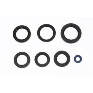 Komplet uszczelniaczy silnikowych do Kawasaki KVF360 Prairie oraz KFX700