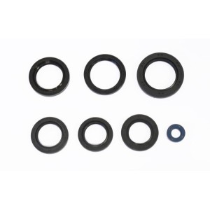 Komplet uszczelniaczy silnikowych do Kawasaki KVF360 Prairie oraz KFX700