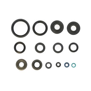 Komplet uszczelniaczy silnikowych Kawasaki KVF750I Brute Force`06-12, KVF650I`08-14