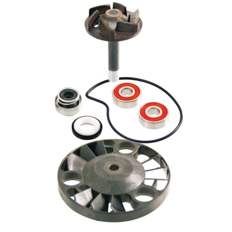 Zestaw naprawczy pompy wody do Piaggio Beverly 125/200 '01-'05, X8 125/200 '04, X9 125/200 '00-'03, Gilera Runner 125/180