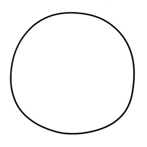 Uszczelka pokrywy sprzęgła Honda CRF 250R '04-09, CRF 250X '04-179 (ORING)