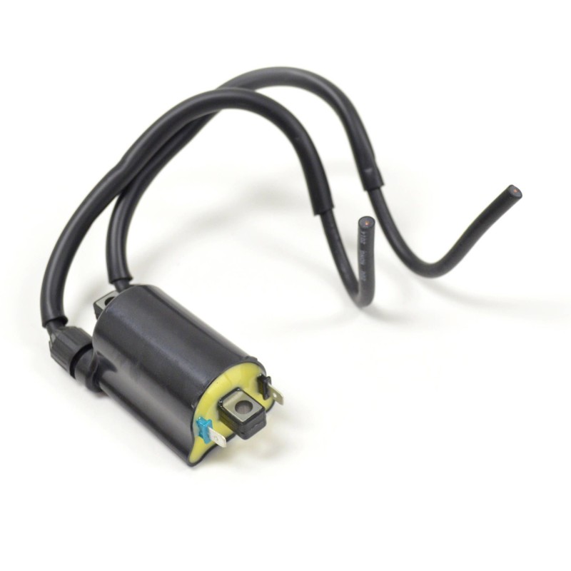 Cewka zapłonowa do Hondy VT 600 C, NTV 650, XL 600/650 V Transalp, VT 750 C - EMGO 2025/02
