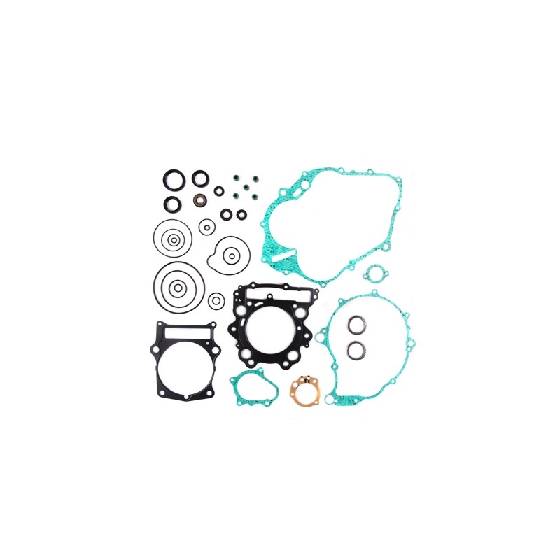 Komplet uszczelek i uszczelniaczy silnikowych do Yamaha YFM 660 R Raptor '01-'05