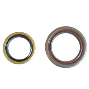 PROX USZCZELNIACZE WAŁU KORBOWEGO BETA 125 RR '20-22, 200 RR '19-22 - Sklep Moto