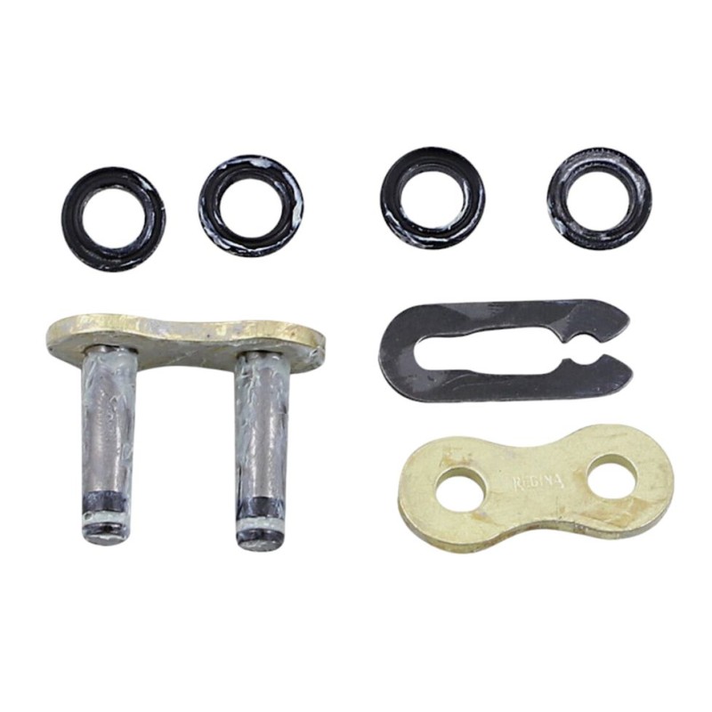 Regina zapinka łańcucha 525ZRE (42/137ZRE)