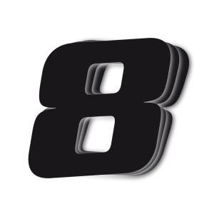 Numer startowy ukosny BLACKBIRD 25x20cm czarny nr8 - 3 sztuki