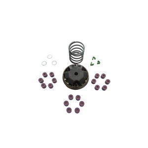 PARMAKIT WARIATOR KOMPLETNY 3 RODZAJE ROLEK 17X13,5 Piaggio NRG Sfera Zip, Gilera Typhoon