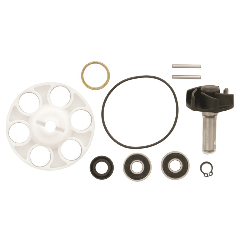 Zestaw naprawczy pompy wody do silników Minarelli LC - V PARTS (VICMA)