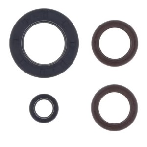 Centauro Komplet Uszczelniaczy Silnikowych KTM GS 250 '80-'81, MX 250 '80-'81