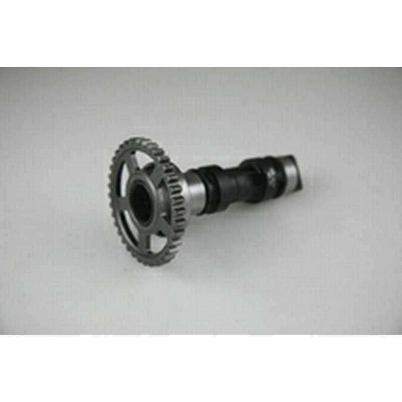 Wałek rozrządu do HONDA CRF 250 R/X (04-09) - HOT CAMS STAGE1