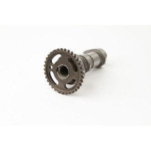 hot cams wałek rozrządu kawasaki kfx 450 r atv 08-09