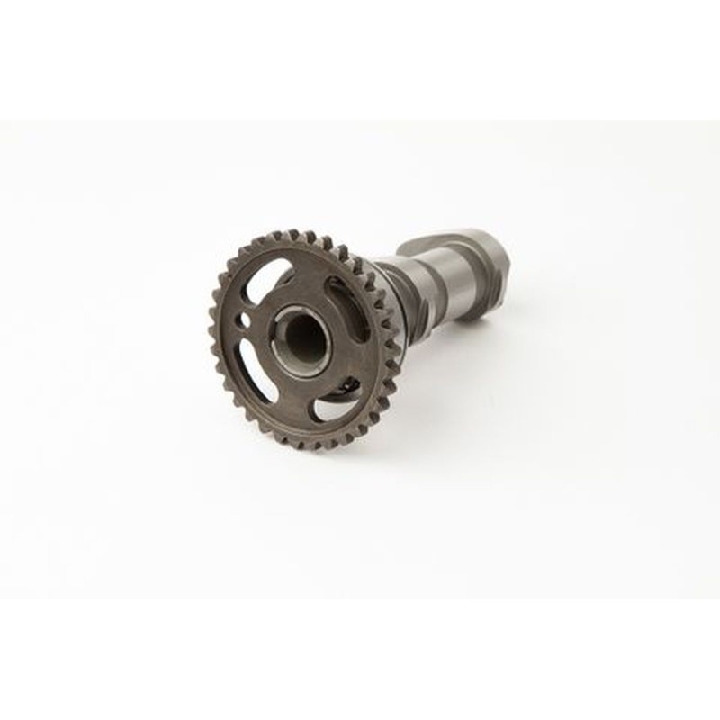 hot cams wałek rozrządu kawasaki kfx 450 r atv 08-09