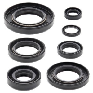 winderosa (vertex) komplet (zestaw) uszczelniaczy silnikowych honda xr600r 85-00