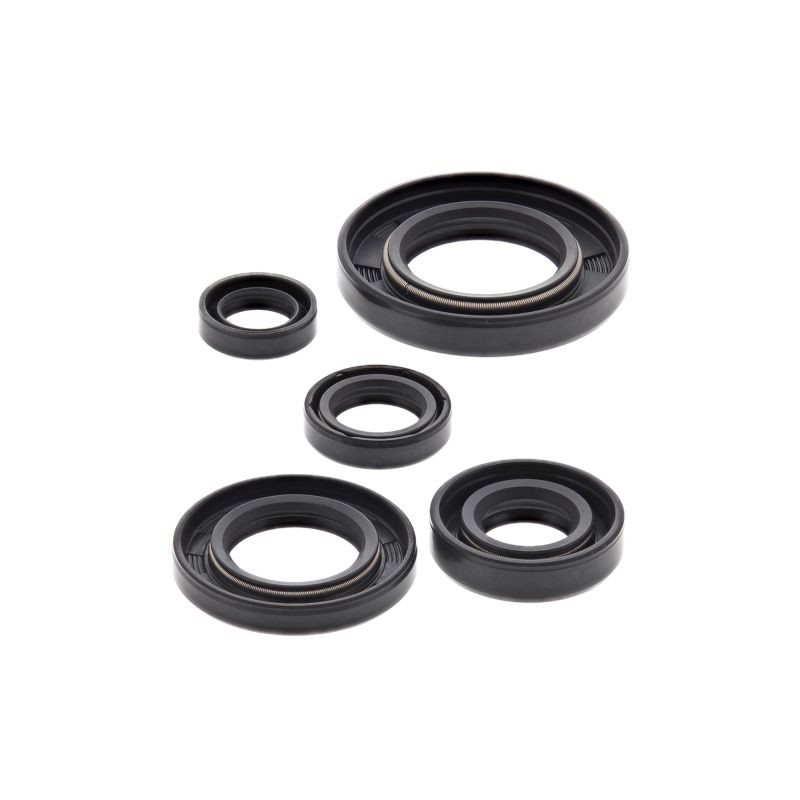 Zestaw uszczelnień silnikowych Honda NX 650 Dominator, XR 650L '93-'18 - Winderosa (Vertex)