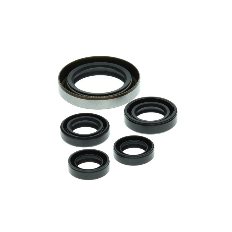 WINDEROSA (VERTEX) KOMPLET USZCZELNIACZY SILNIKOWYCH POLARIS OUTLAW 500 '06-'07, PREDATOR 500 '03-'07