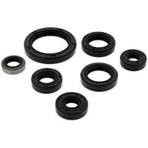 Komplet uszczelniaczy silnikowych Kawasaki KFX250 Mojave 87-04