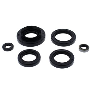 Komplet uszczelniaczy silnikowych Kawasaki KVF750 Brute Force 12-14, Teryx 750 4x4 13