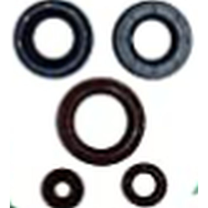 Komplet uszczelniaczy silnikowych do Can-Am Outlander DPS 450 EFI 15-20