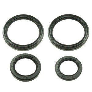 Bronco Uszczelniacze Dyferencjału Przedniego i Tylnego Arctic Cat 300/366/400/500, Prowler