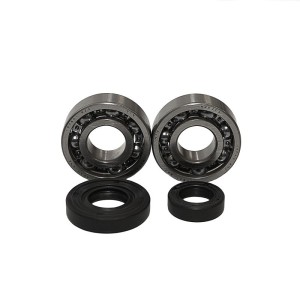 Łożyska wału korbowego KTM SX 50 '02-'08 (NTN) - Bearing Worx (Made in Japan)