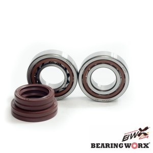Łożyska wału korbowego KTM 450/505/530 z uszczelniaczami - BEARING WORX (NTN) MADE IN JAPAN