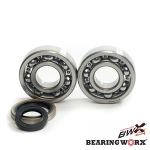 Łożyska wału korbowego Suzuki RM 250 96-02 (NTN) - BEARING WORX