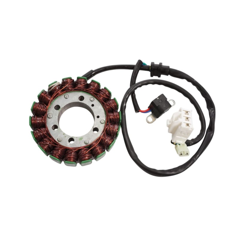 ELECTROSPORT 2025/02 UZWOJENIE ALTERNATORA STATOR SYM JOUMAX / GTS 300