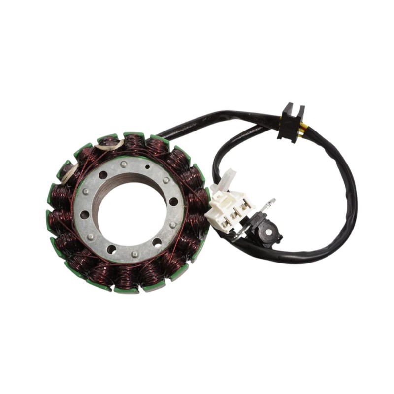ELECTROSPORT 2025/02 UZWOJENIE ALTERNATORA STATOR SUZUKI DL 1000 V-STROM