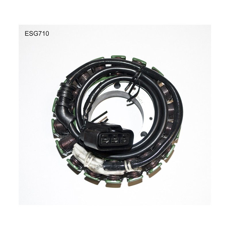 Uzwojenie alternatora (stator) do Triumph Rocket III (05-10) - ELECTROSPORT