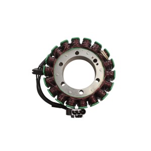 ELECTROSPORT 2025/02 UZWOJENIE ALTERNATORA STATOR BMW G 650 GS