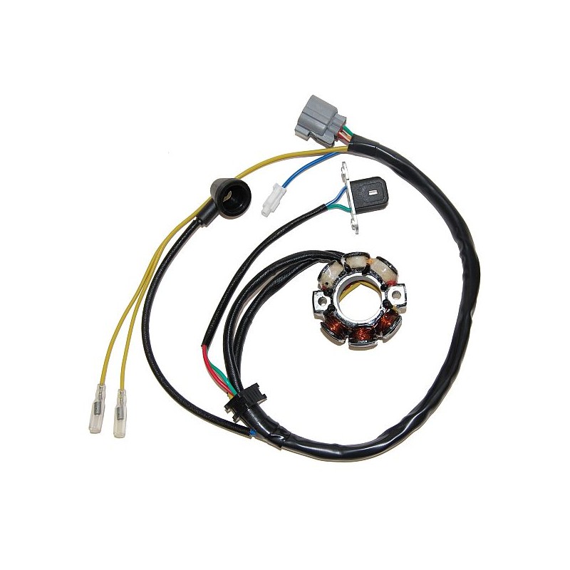 ELECTROSPORT UZWOJENIE ALTERNATORA KXF 250 RMZ 250 - 50W