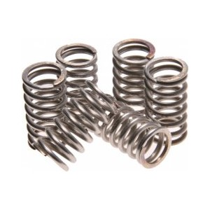 Sprężyny sprzęgłowe TRW ZF do KTM EXC-LC4 400 93-95, HONDA VF750 82-84, YAMAHA XV 500 83-84 (5 szt.) EBS077