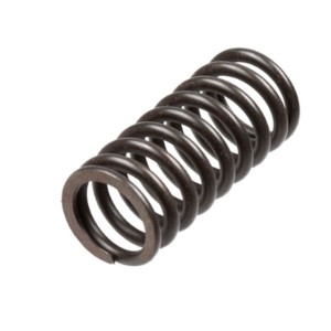 Sprężyny sprzęgłowe TRW ZF do HONDA VT 1100 C2 / C3 SHADOW '95-'02