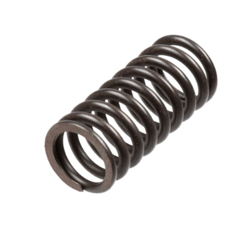 Sprężyny sprzęgłowe TRW ZF do HONDA VT 1100 C2 / C3 SHADOW '95-'02