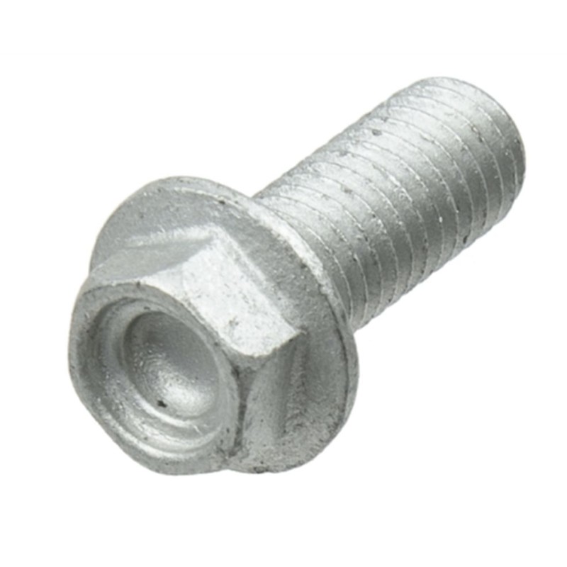 Śruby tarczy hamulcowej TRW ZF do Aprilia ETV 1200 Caponord, RSV4 1000 Factory oraz BMW G 650 Xmoto