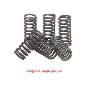 Sprężyny sprzęgłowe Kawasaki KLX 450R \'08-\'12, KX 450F \'06-\'11 - Psychic
