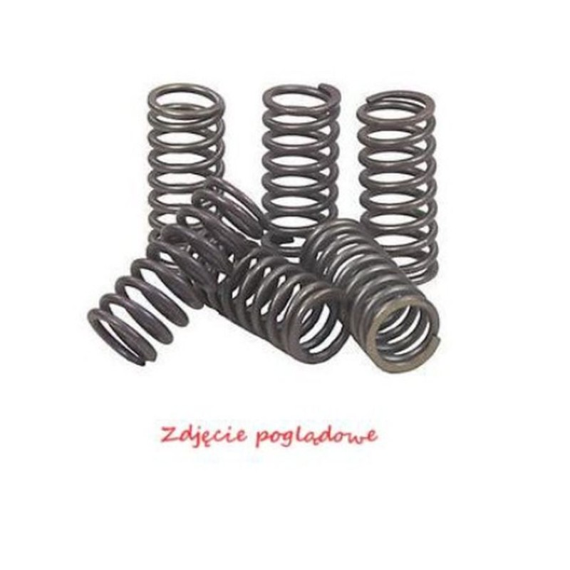 Sprężyny sprzęgłowe Kawasaki KLX 450R \'08-\'12, KX 450F \'06-\'11 - Psychic
