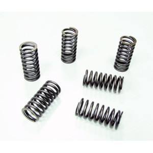 Sprężyny sprzęgłowe do HONDA CRF 230F, CR 480R - EBS024