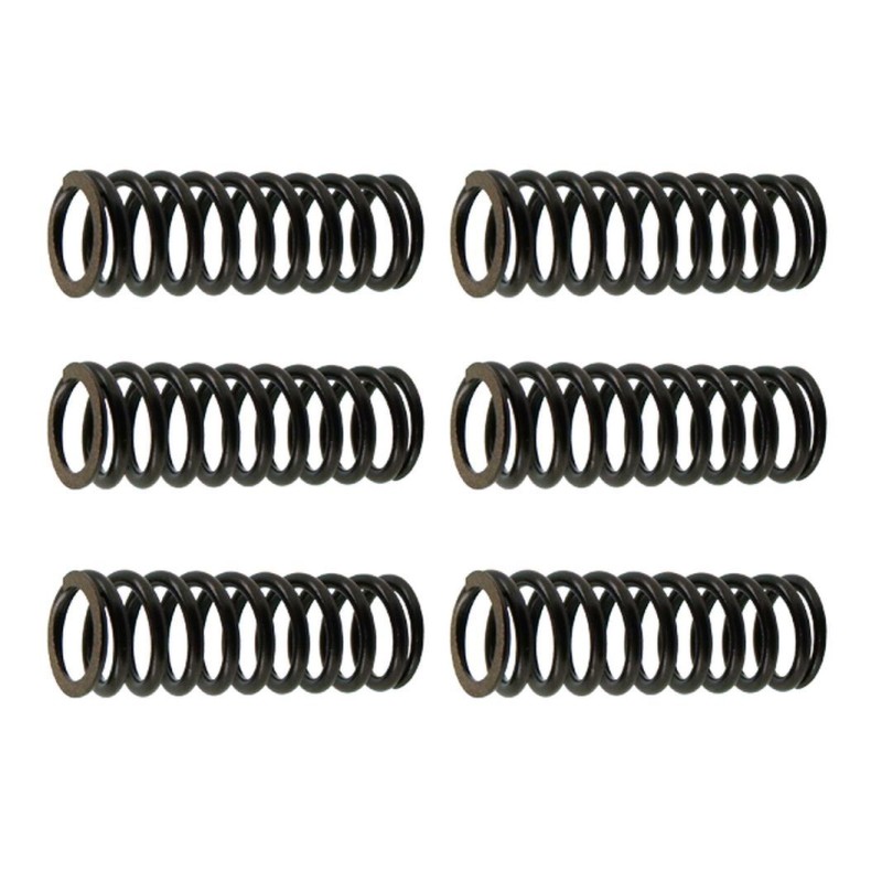 Sprężyny sprzęgłowe Suzuki RMZ 250 '07-'09 - EBS125