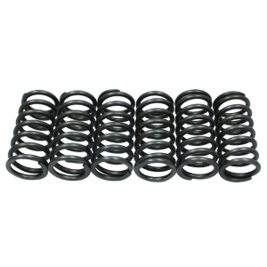 Sprężyny sprzęgłowe KTM EXC/XC-W Sixdays 530 '10-'11, EXC-R/WCR-W 530 '08 (EBS140)