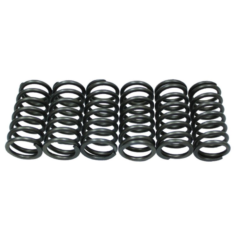 Sprężyny sprzęgłowe KTM EXC/XC-W Sixdays 530 '10-'11, EXC-R/WCR-W 530 '08 (EBS140)