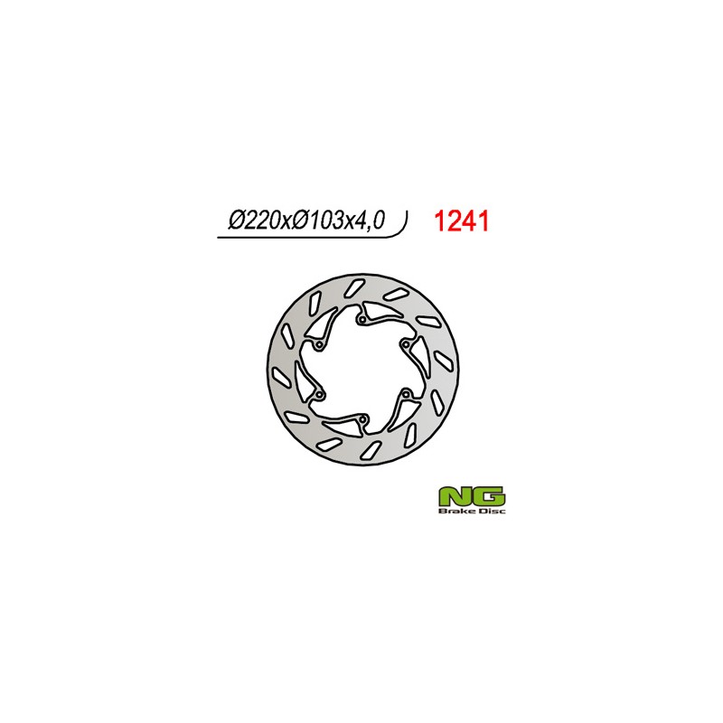 Tarcza hamulcowa tył BMW G 450 X '08-'09 (220x103x4)