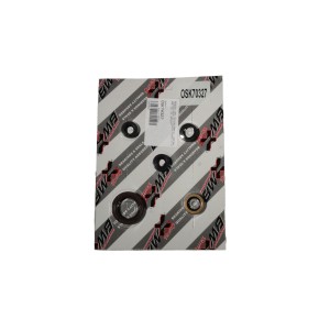 Komplet uszczelniaczy silnikowych Suzuki LT-R 450 '06-'09 - BEARING WORX (822327)