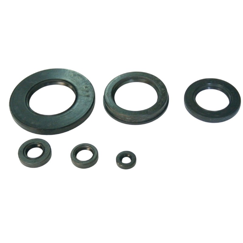 Komplet uszczelniaczy silnikowych Yamaha XJ 550 '81-'84, XJ 600 '84-'91, YX 600 Radian