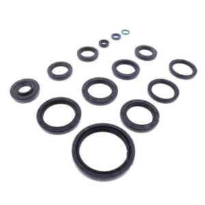 ATHENA KOMPLET USZCZELNIACZY SILNIKOWYCH KAWASAKI KVF 650 BRUTE FORCE 05-13