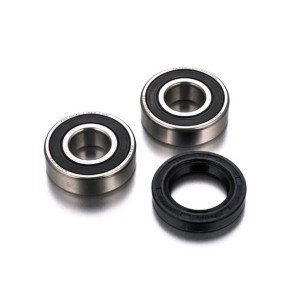Łożyska koła tylnego z uszczelniaczami do Honda CB 600 F Hornet, CBF 500, CBR 600 - FACTORY LINKS 2025/02
