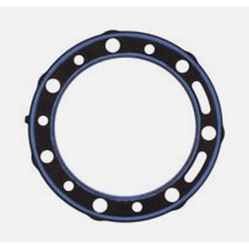 Uszczelka pod głowicę BETA EVO 290 '09-'11 - ATHENA (OEM:1667214000)