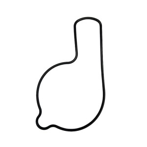 Uszczelka pompy wody Honda TRX 450R '04-'05 - OEM: 19226HP1670