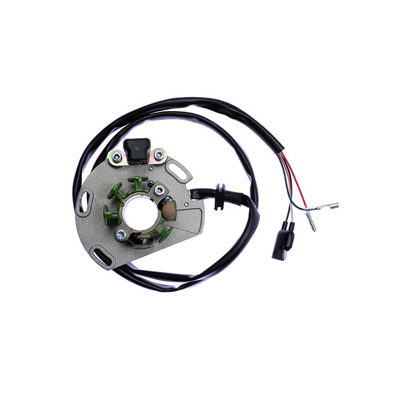 ELECTREX UZWOJENIE ALTERNATORA (STATOR) GAS GAS EC 125, EC250 - wysokiej jakości zamiennik